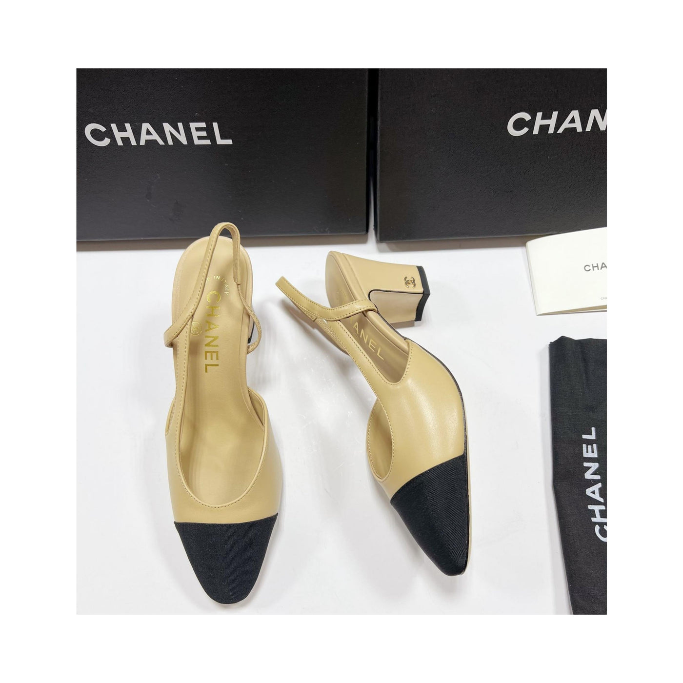 w heels 12